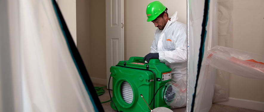 Glendale, AZ mold cleanup