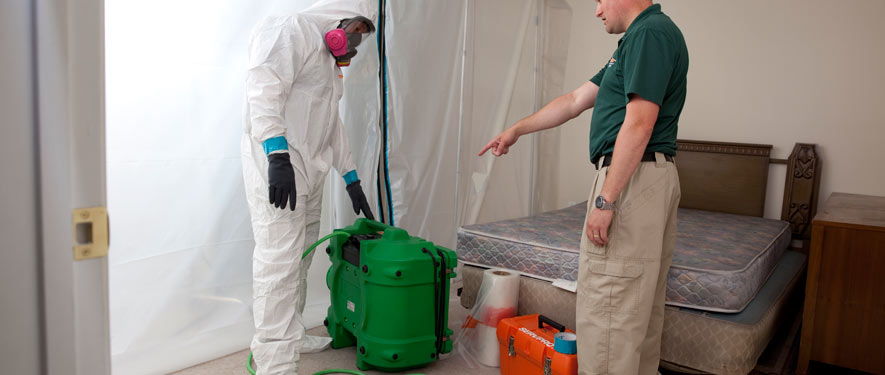 Glendale, AZ mold removal process